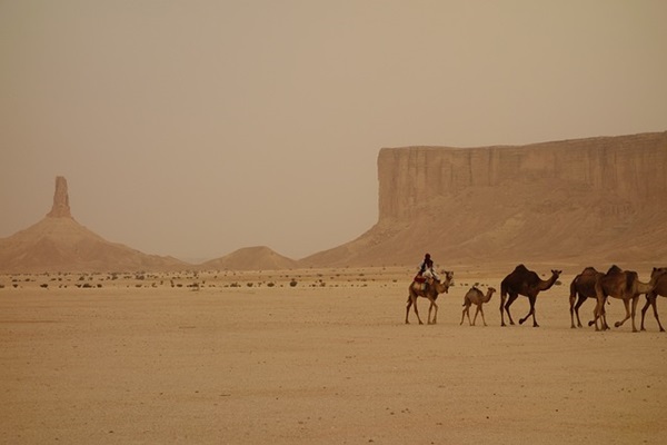 ARABIA SAUDITA TOUR RIYADH TABUK AL ULA JEDDAH CON VOLI DA MILANO E ROMA