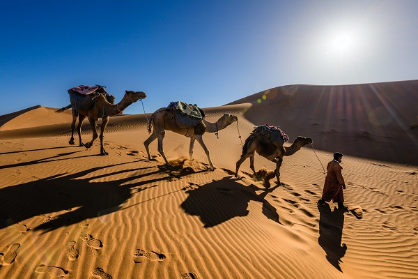 MAROCCO TOUR MARRAKECH FES CHEFCHAOUEN CON VOLO DA BOLOGNA
